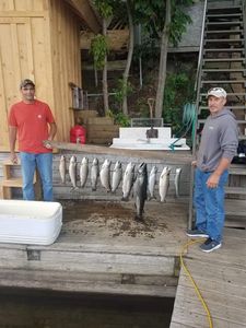 Premier salmon charter in lake ontario